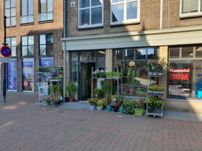 Moh&#8217;s planten en potten