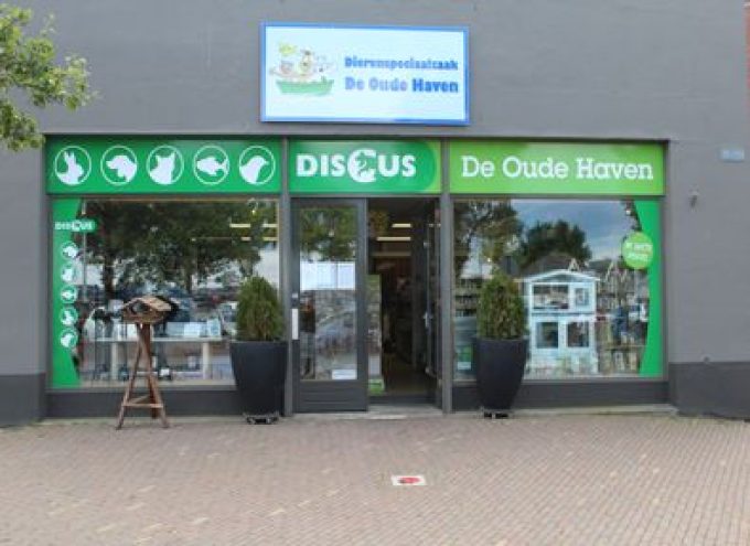 Discus De Oude Haven