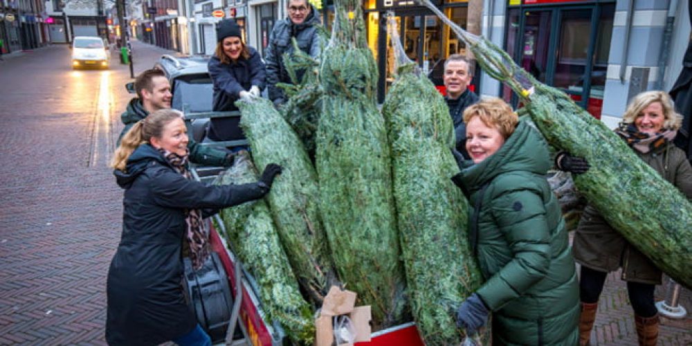 Kerstbomen sieren de stad