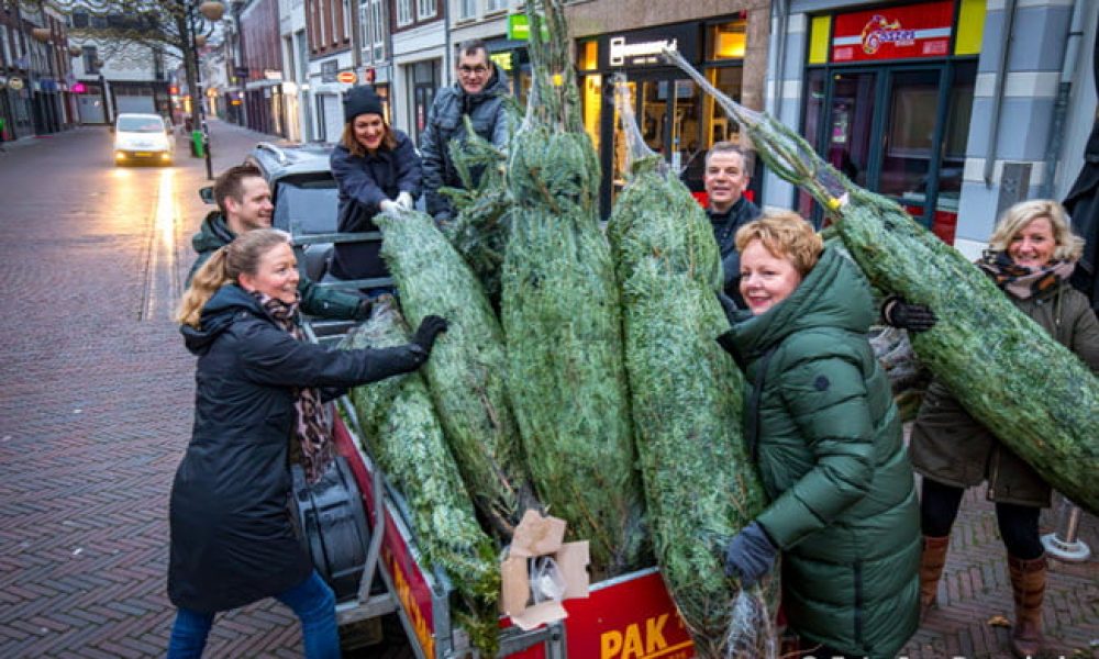 Kerstbomen sieren de stad